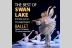 the best of swan lake 2015 logo